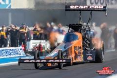 Tony Schumacher