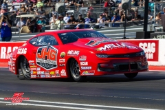 Erica-Enders