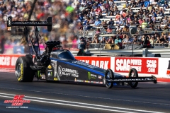 Brittany-Force