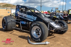 Logan Williams