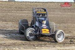 Austin Williams