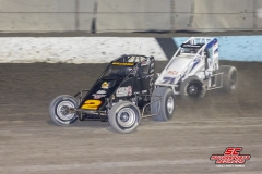 Austin Williams